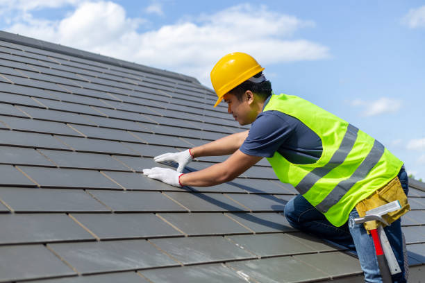 Best Gutter Installation and Roofing  in Cary, IL