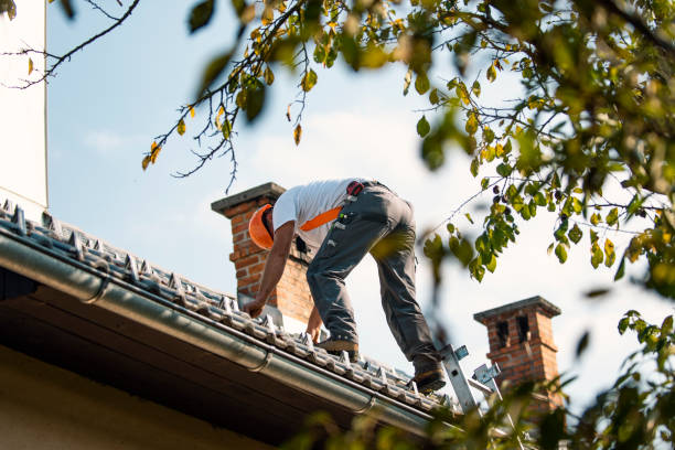 Best Tile Roofing Contractor  in Cary, IL