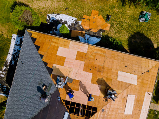 Best Roof Waterproofing Services  in Cary, IL