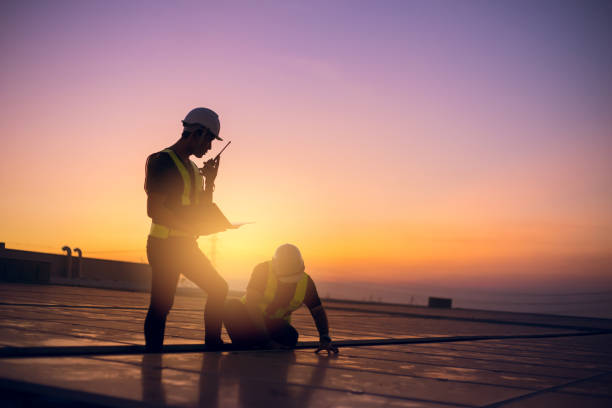 Best Roof Gutter Cleaning  in Cary, IL