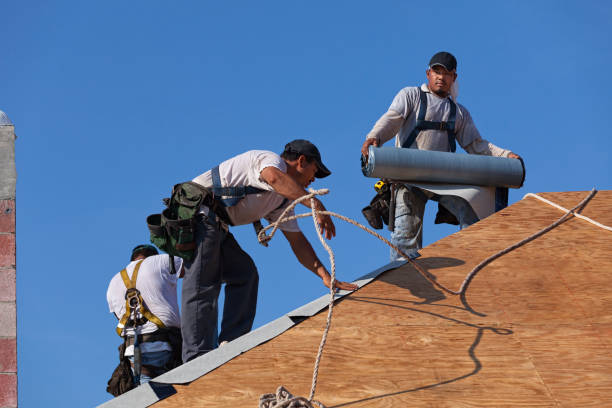 Best Best Roofing Contractors  in Cary, IL