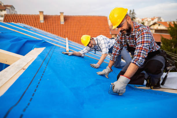 Best Flat Roof Repair Services  in Cary, IL