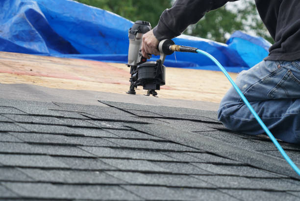 Best Roof Leak Repair  in Cary, IL