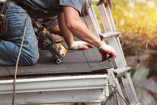 Best Roof Repair Services  in Cary, IL