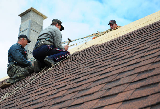 Best Residential Roofing Contractor  in Cary, IL